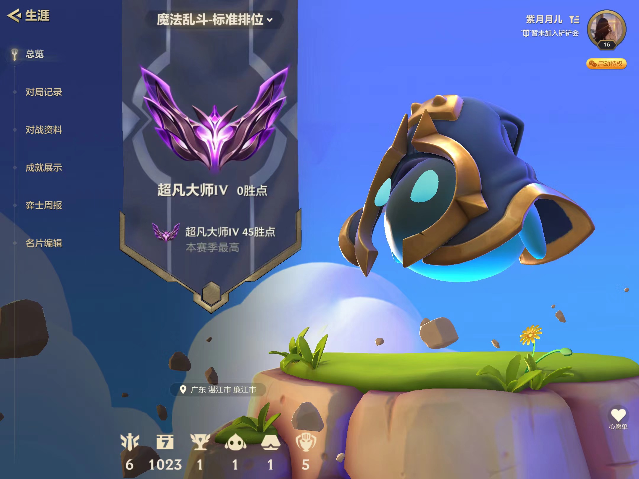 金铲铲之战陪玩服务