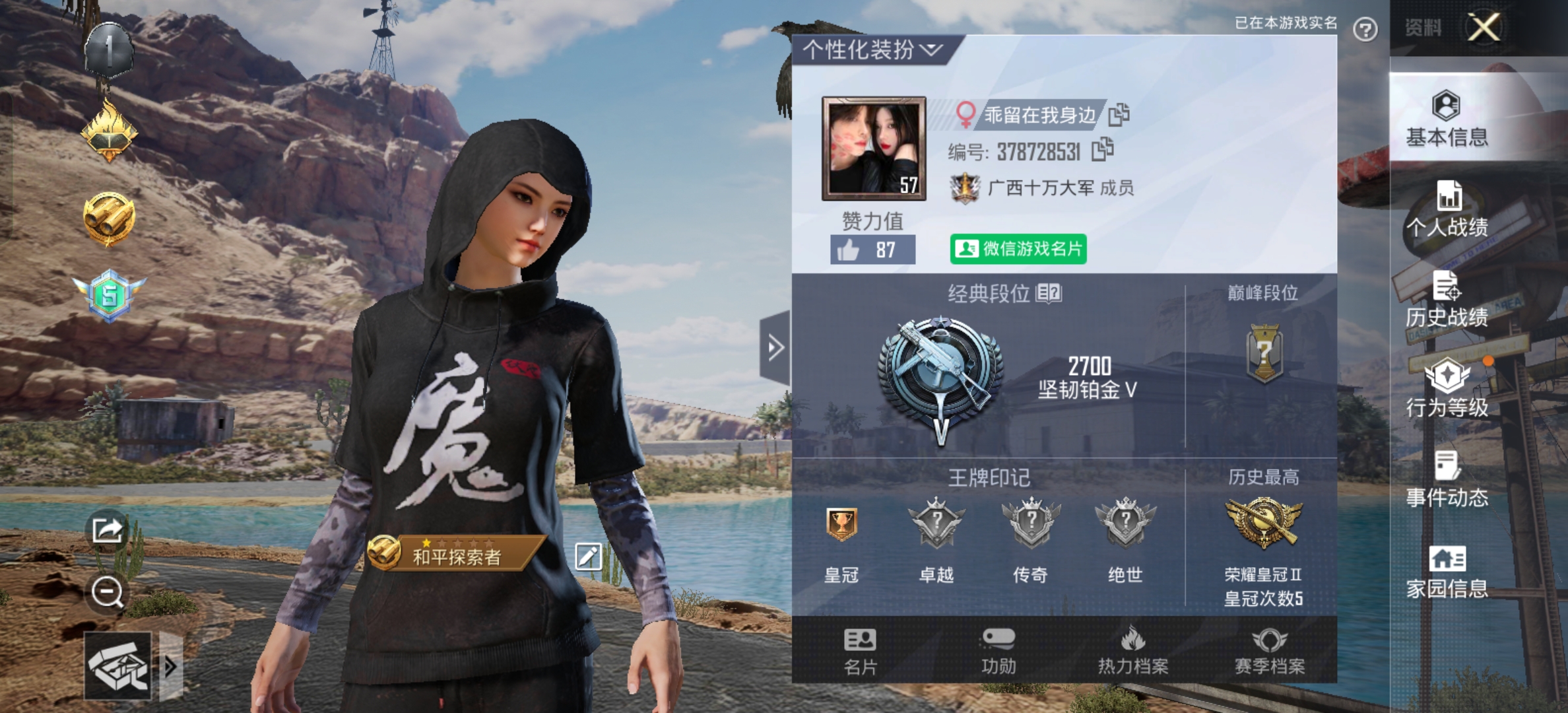 和平精英陪玩服务