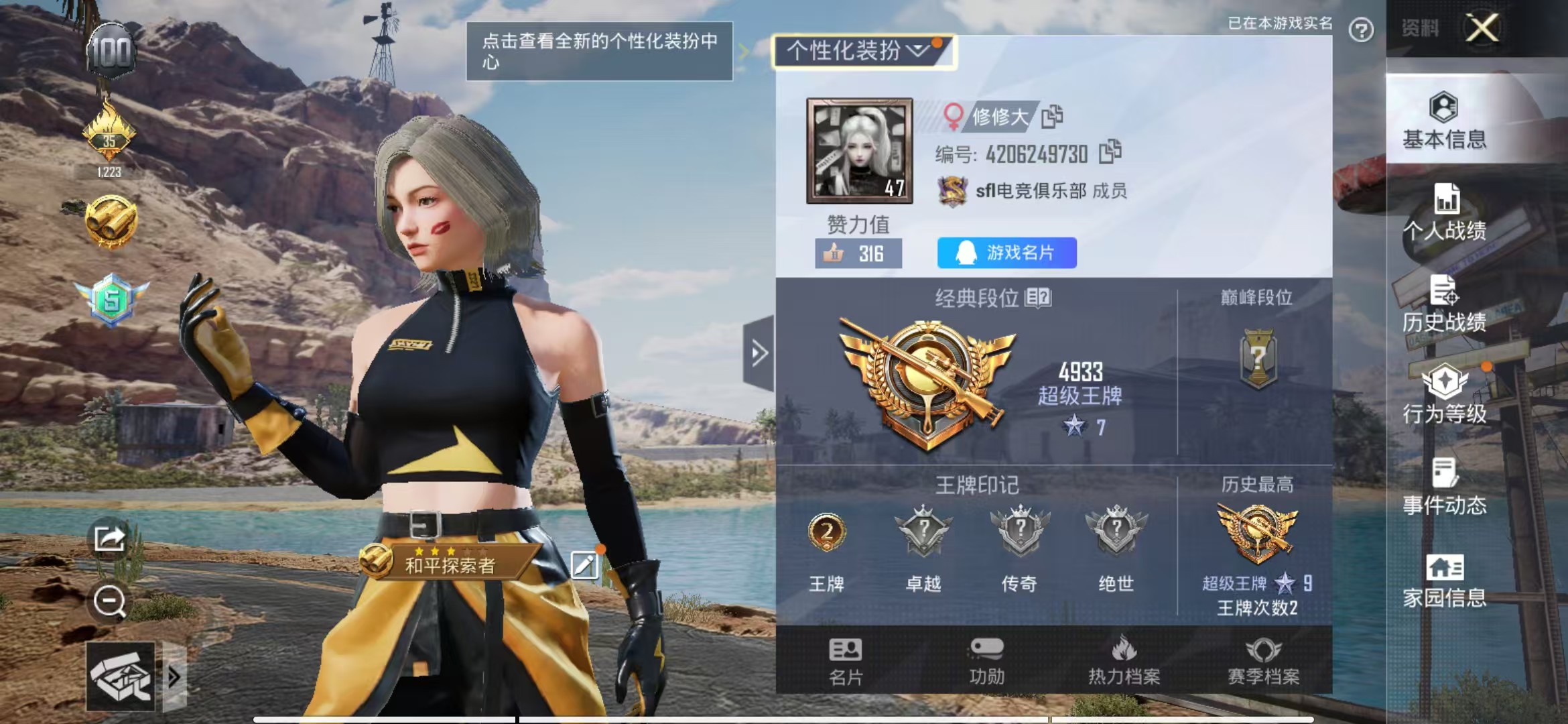 和平精英陪玩服务