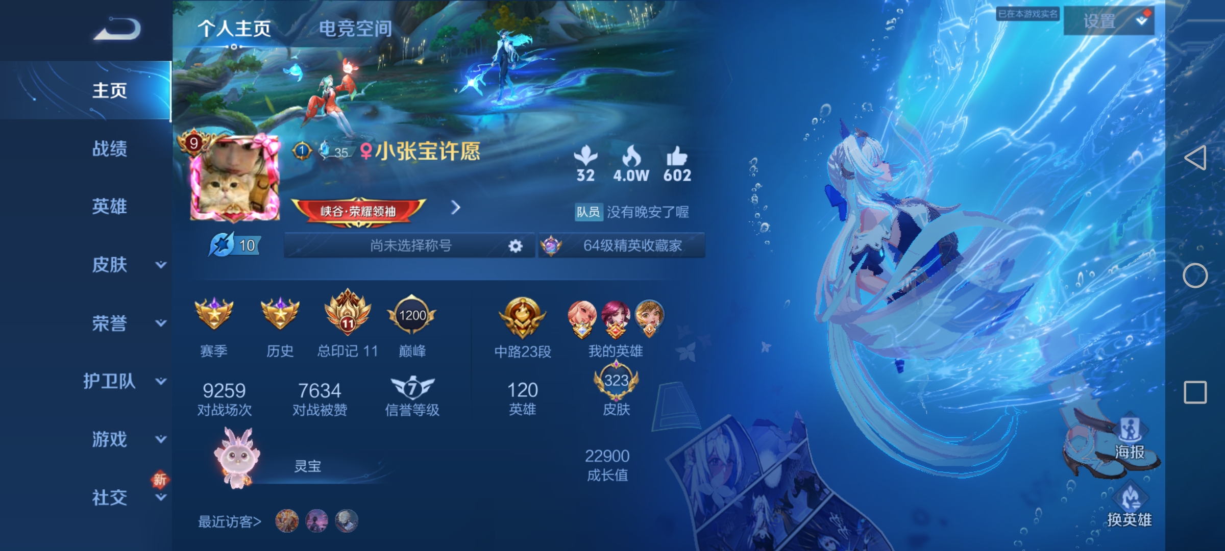 王者荣耀陪玩服务