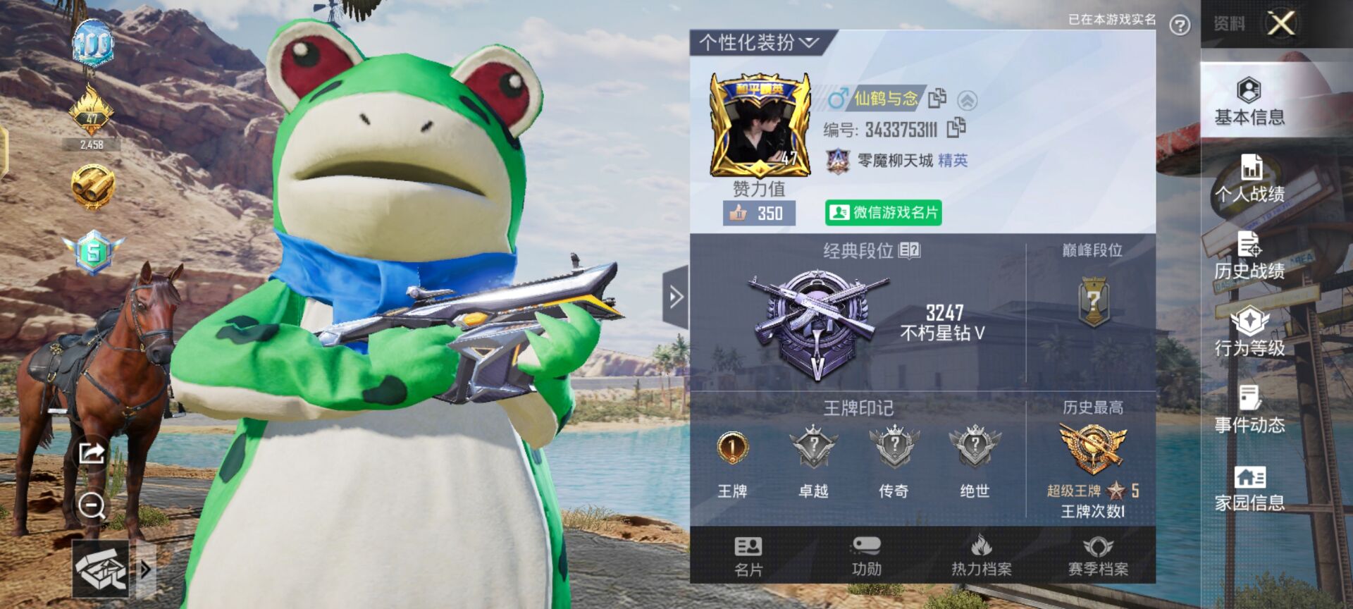 和平精英陪玩服务