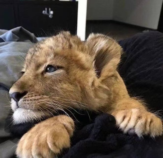 陪玩妹子鳗鳗的照片1