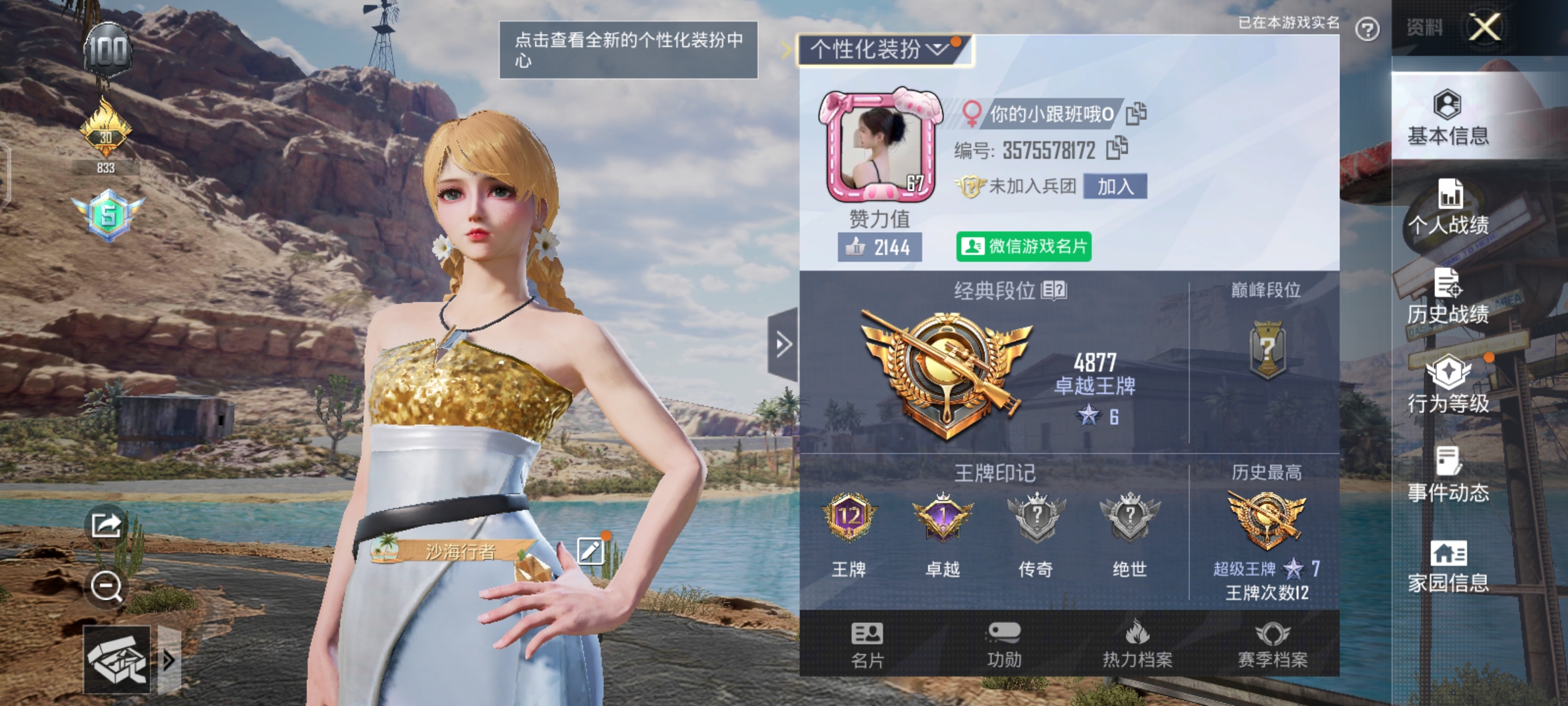 和平精英陪玩服务