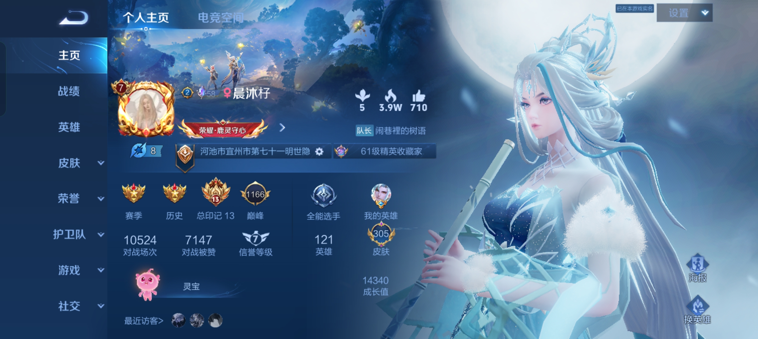 王者荣耀陪玩服务