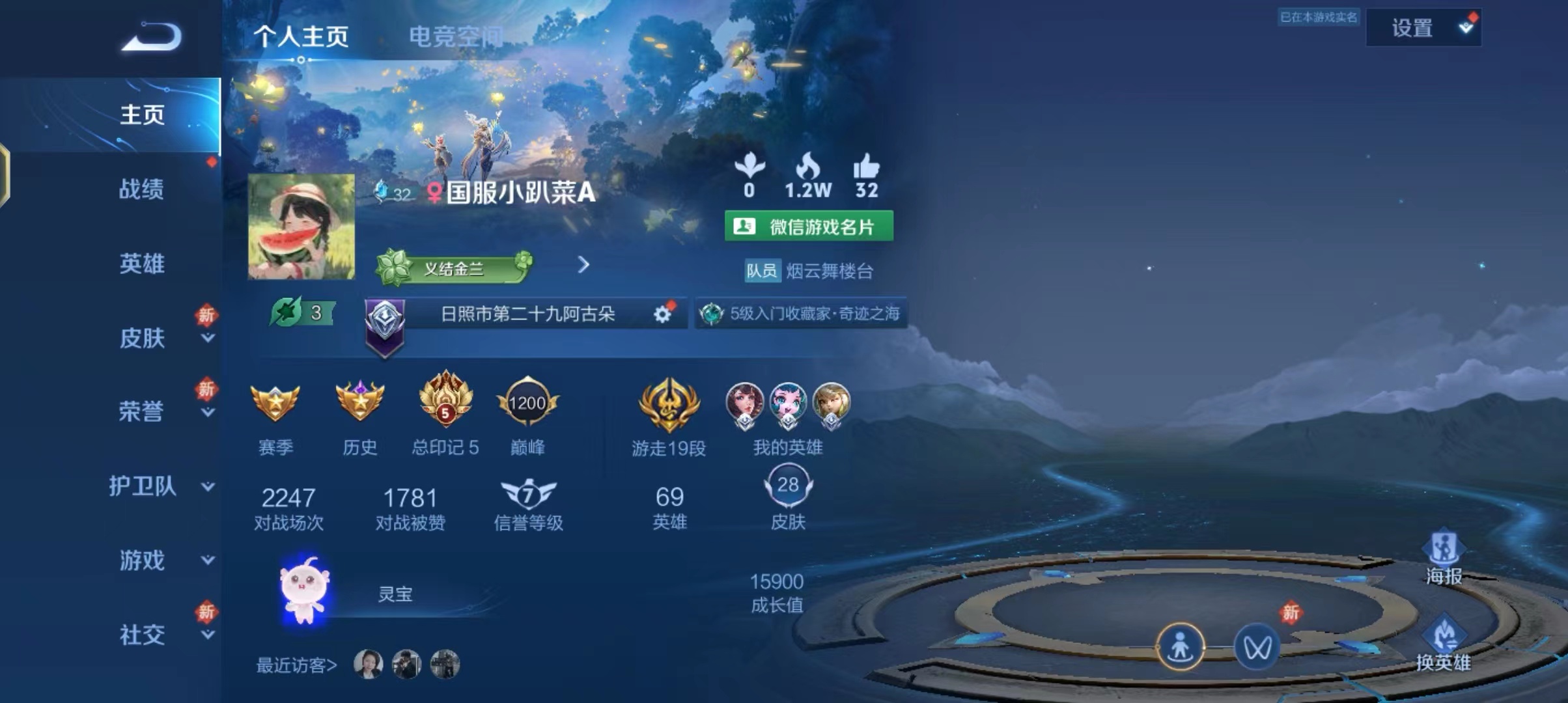 王者荣耀陪玩服务