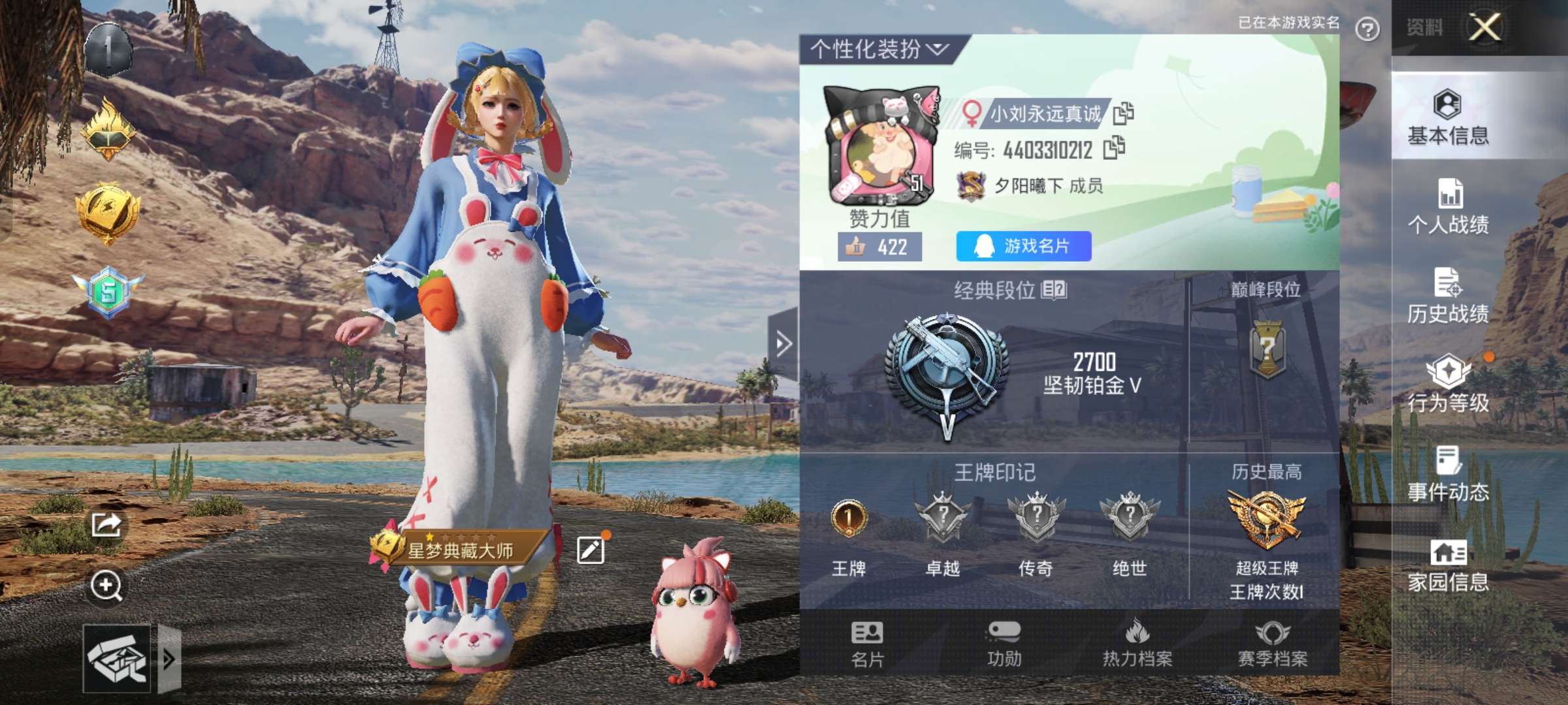 和平精英陪玩服务