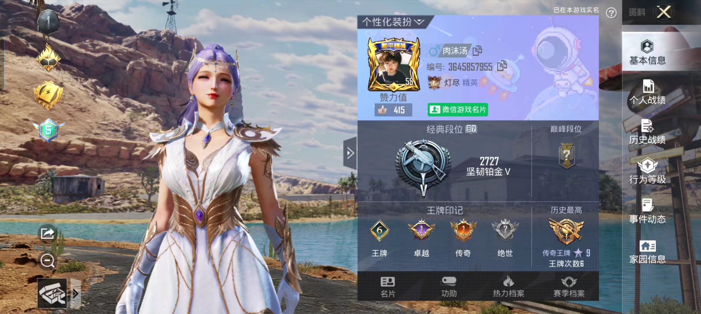 和平精英陪玩服务