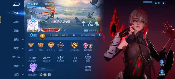 王者荣耀陪玩服务