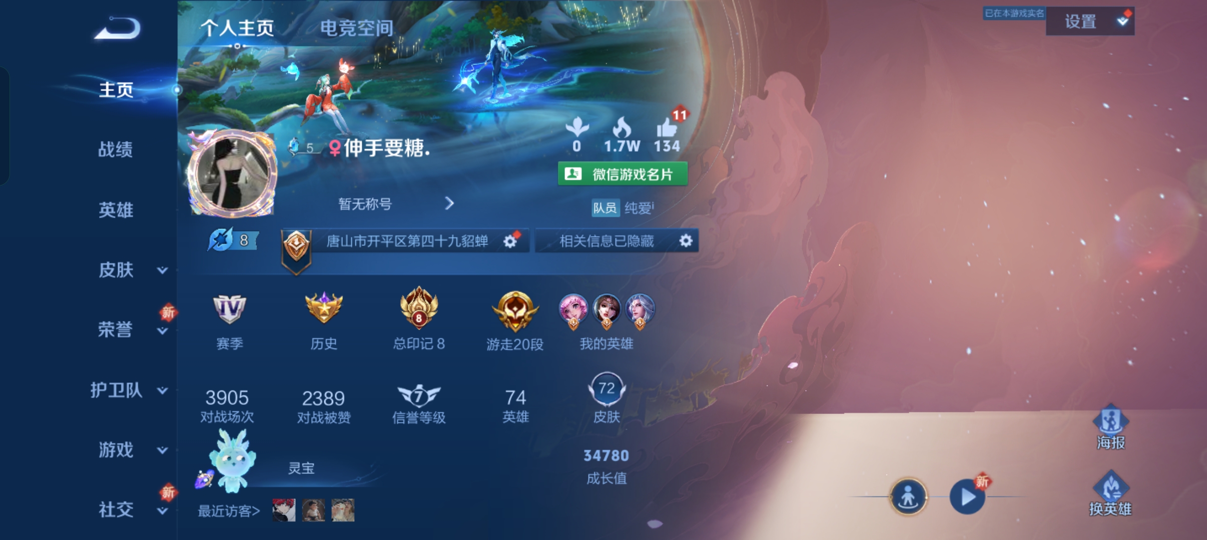 王者荣耀陪玩服务