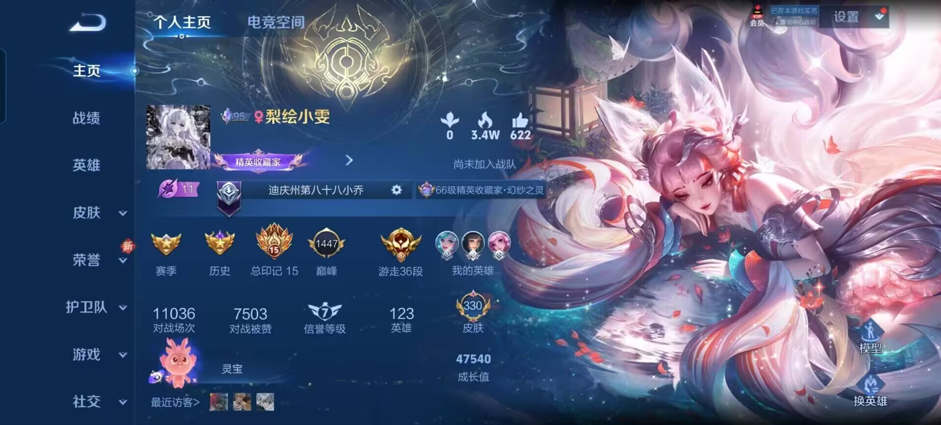 王者荣耀陪玩服务
