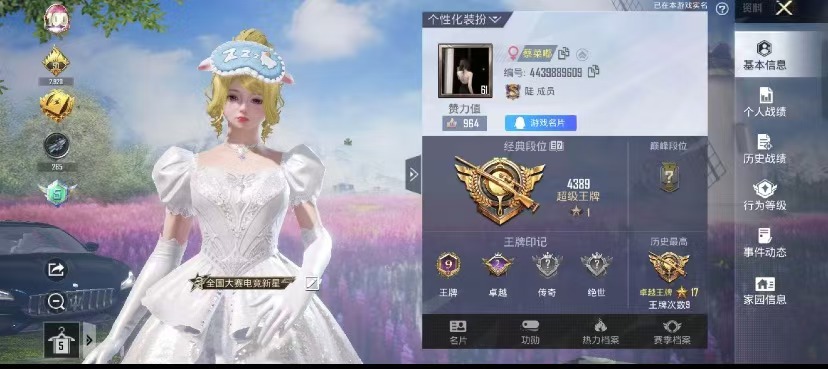 和平精英陪玩服务