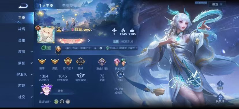 王者荣耀陪玩服务