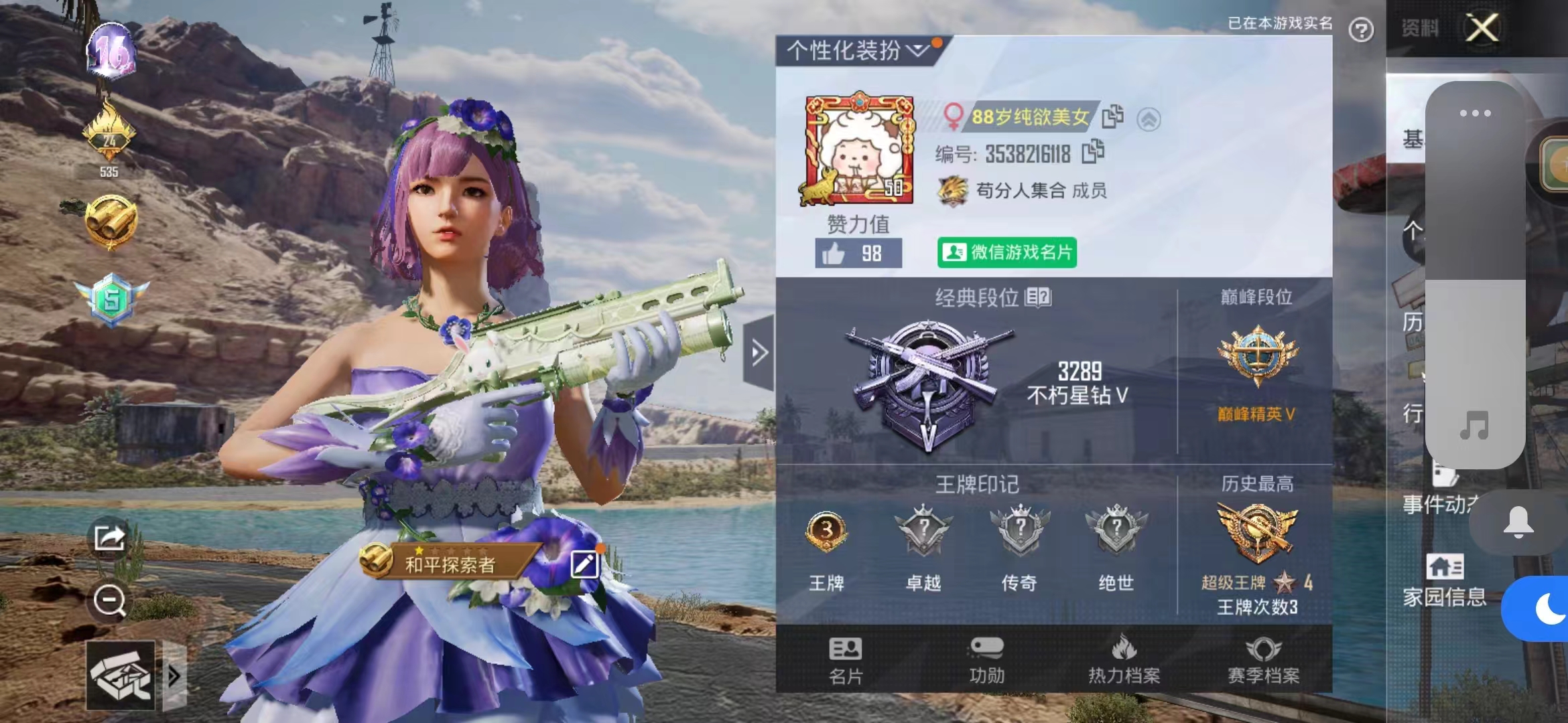 和平精英陪玩服务