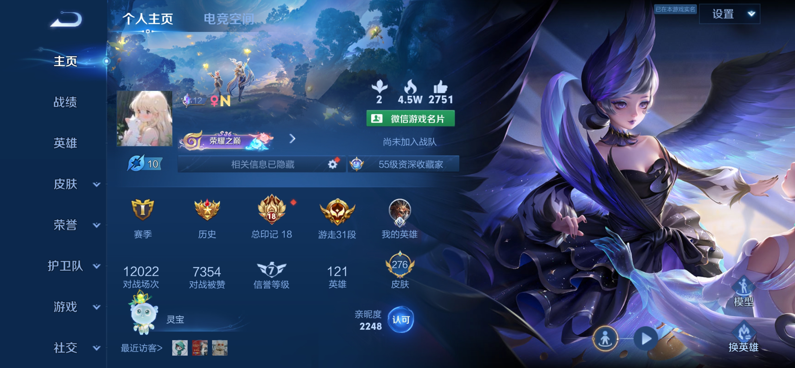 王者荣耀陪玩服务