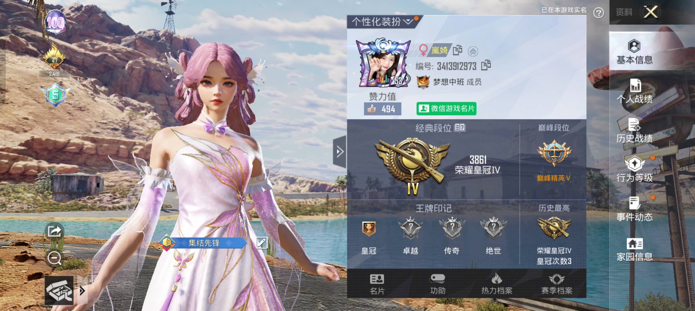 和平精英陪玩服务
