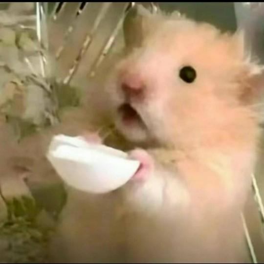 陪玩妹子猫七baby酱的照片2
