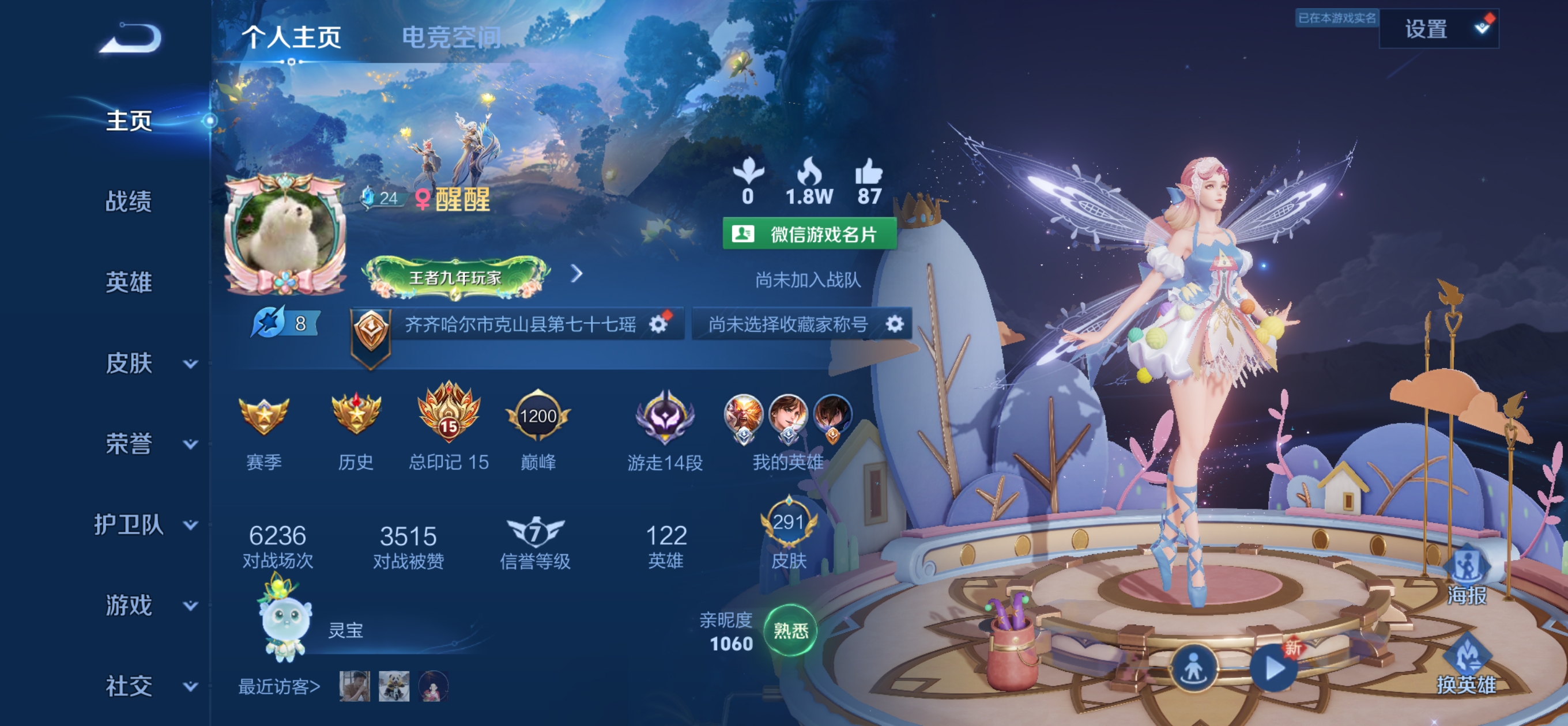王者荣耀陪玩服务