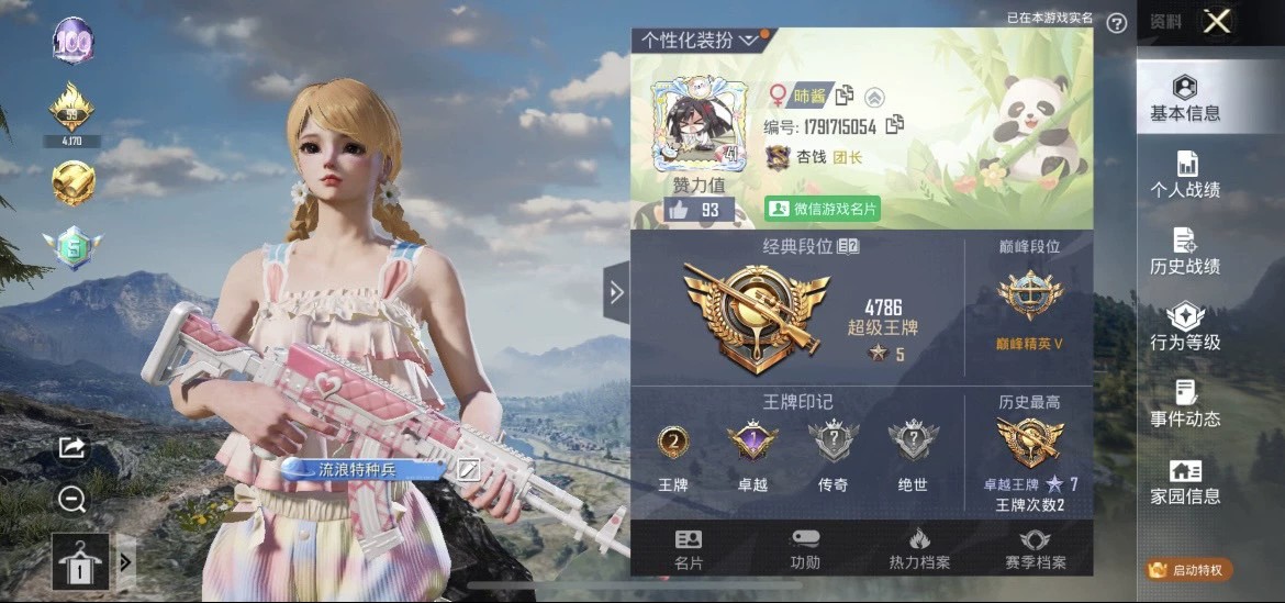 和平精英陪玩服务