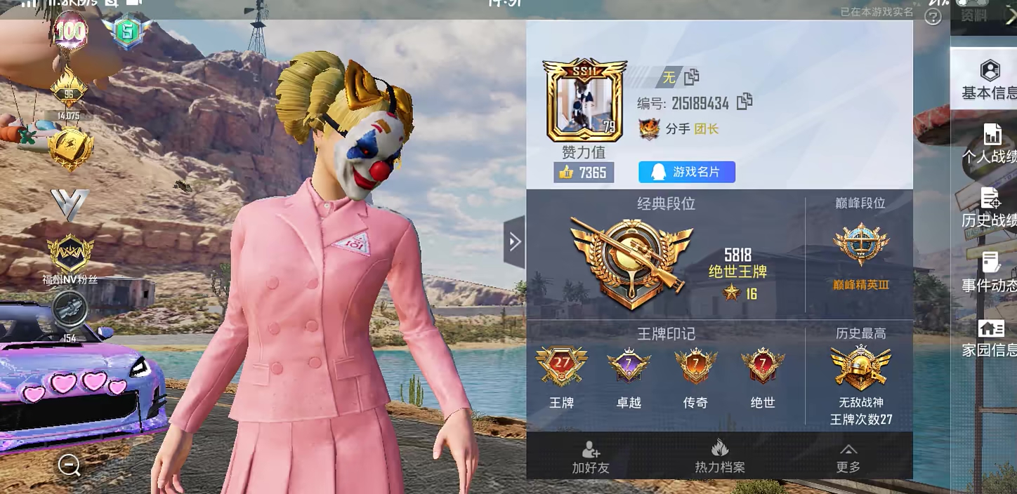 和平精英陪玩服务