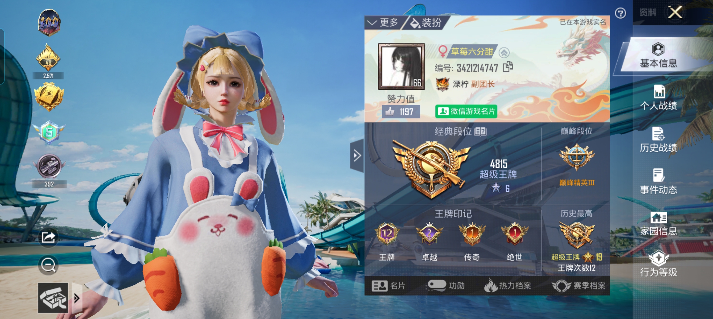 和平精英陪玩服务