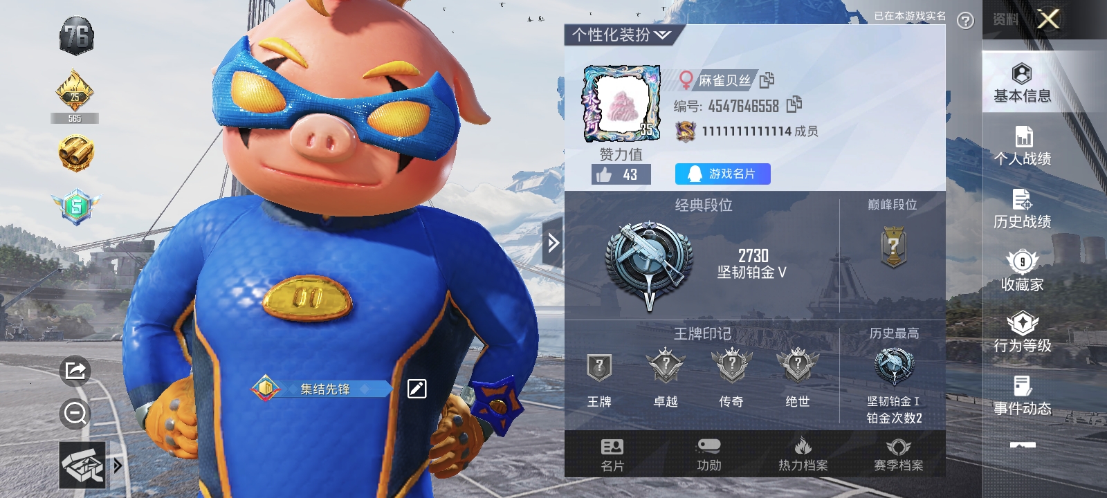 和平精英陪玩服务