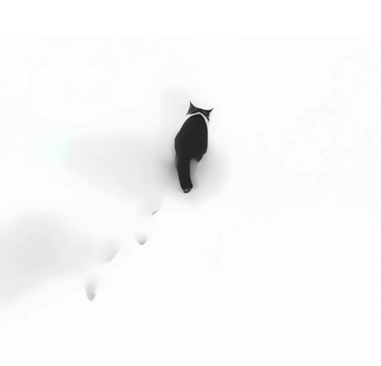 陪玩妹子猪蹄炖排骨的照片2