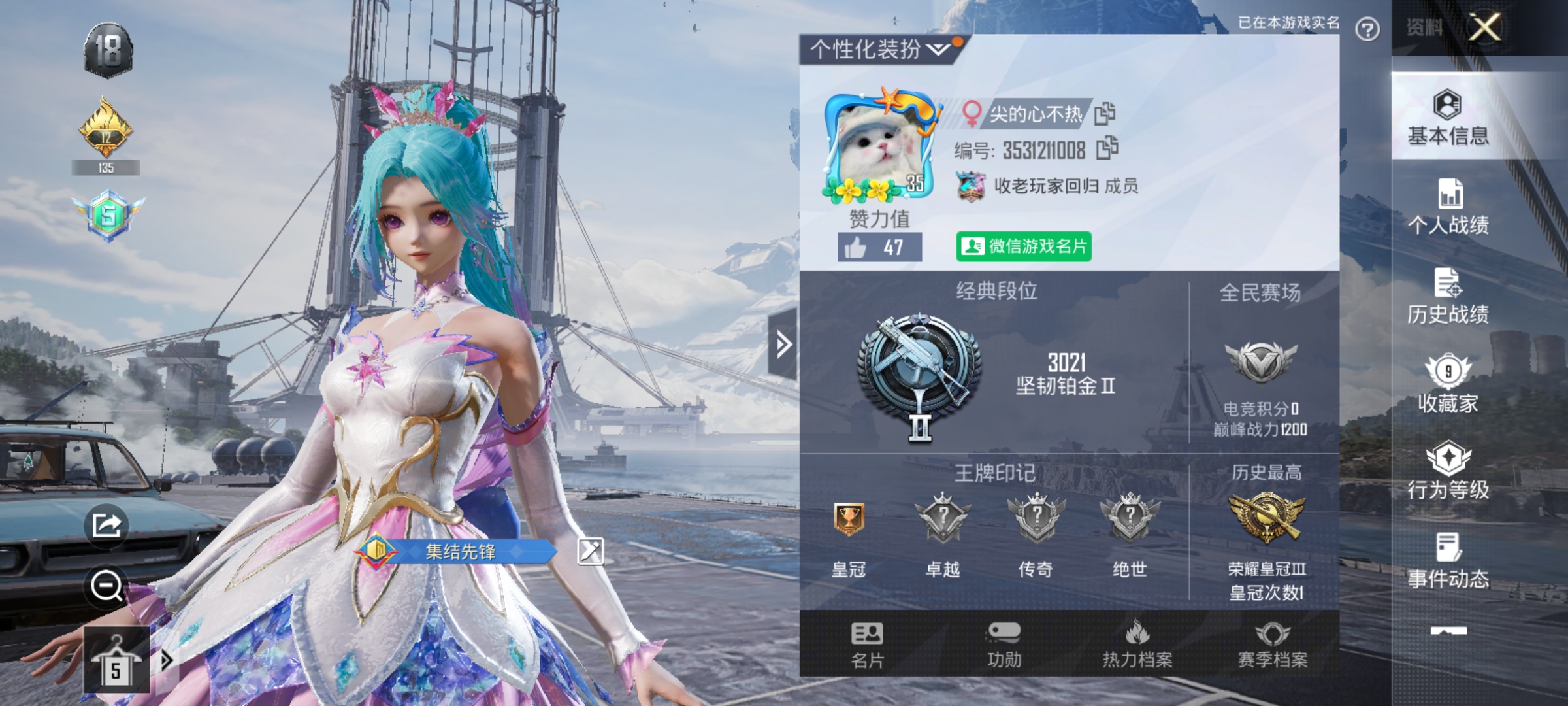 和平精英陪玩服务