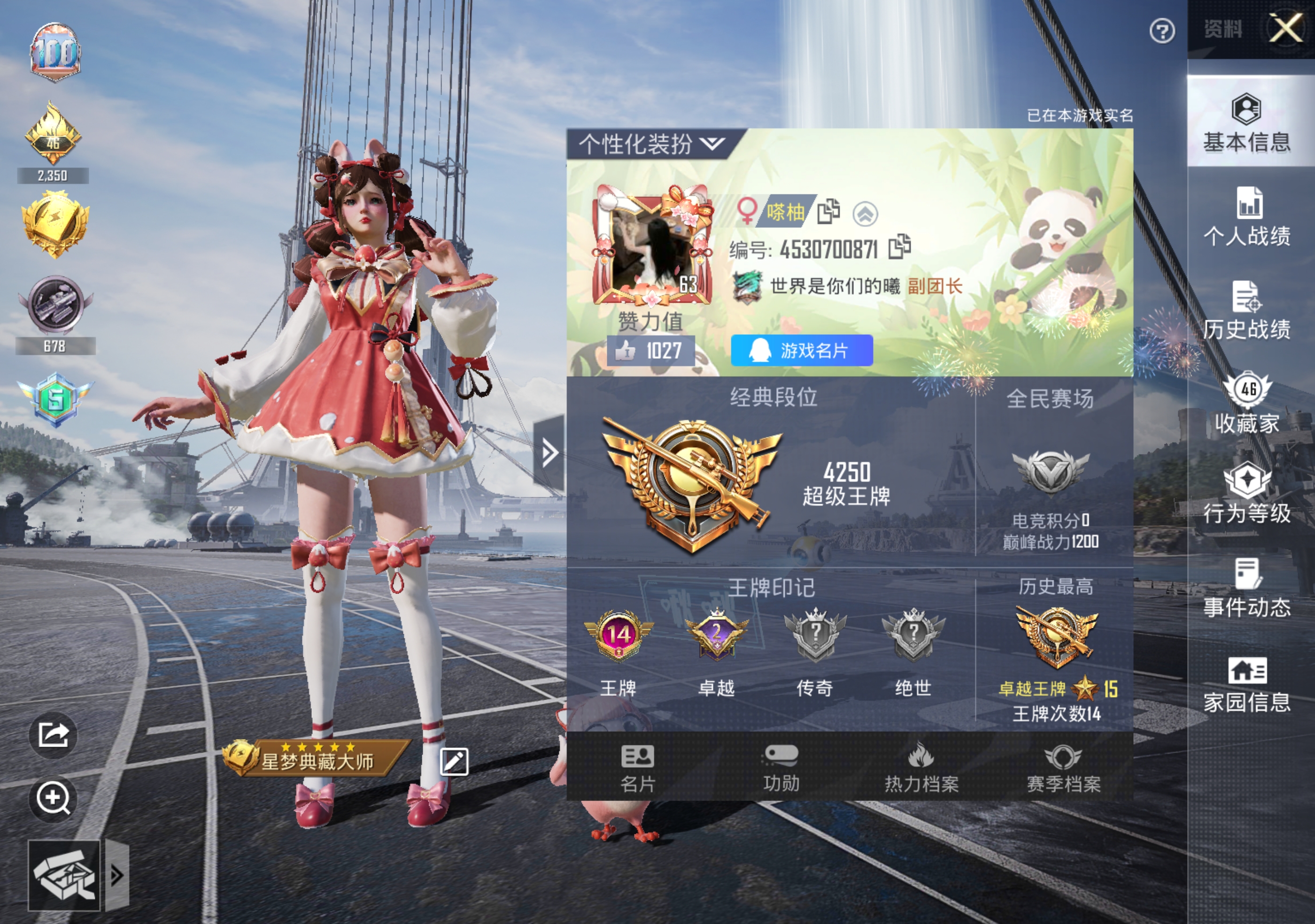 和平精英陪玩服务