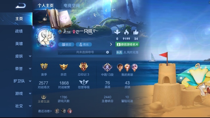 王者荣耀陪玩服务