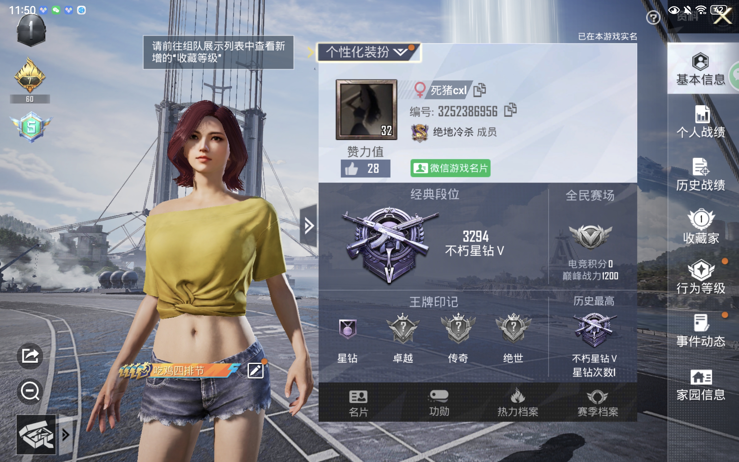 和平精英陪玩服务