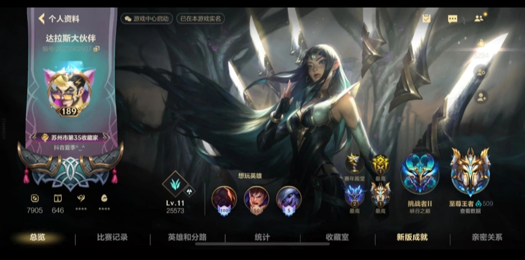 LOL手游陪玩服务
