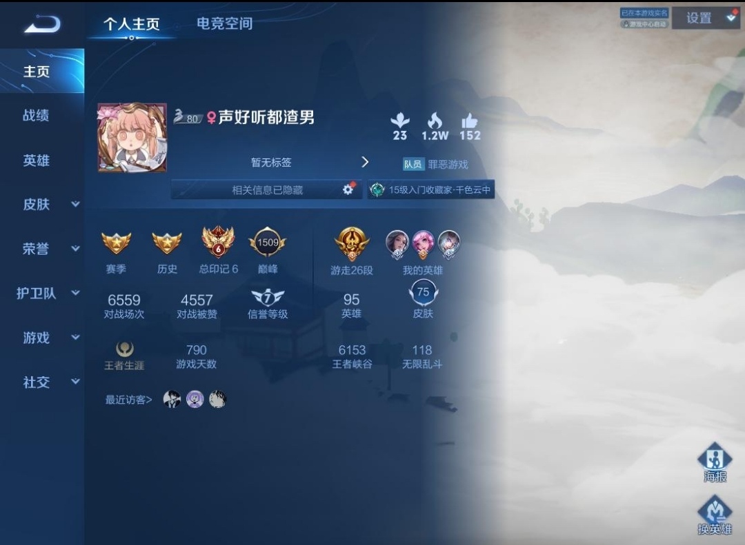 王者荣耀陪玩服务