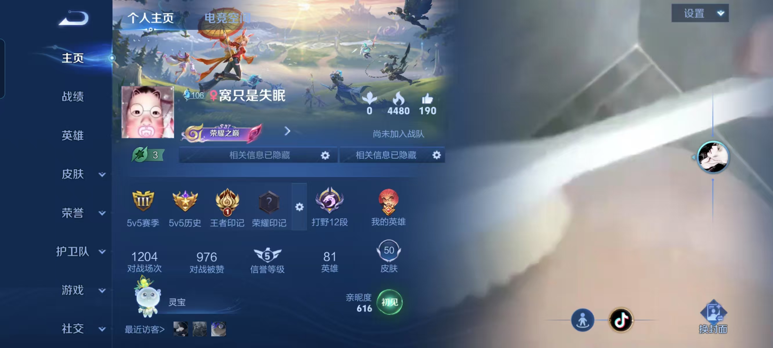 王者荣耀陪玩服务