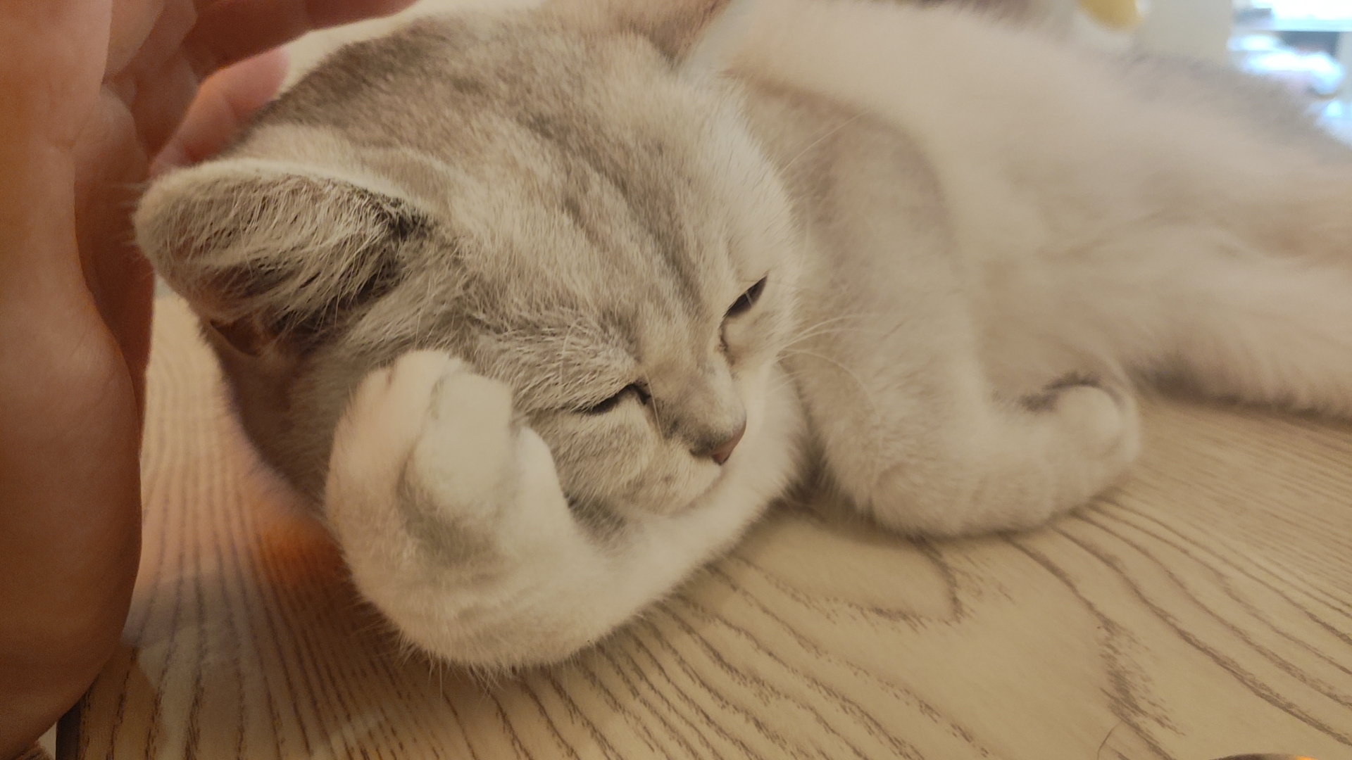 陪玩妹子ℋÿ雨陌,的照片6