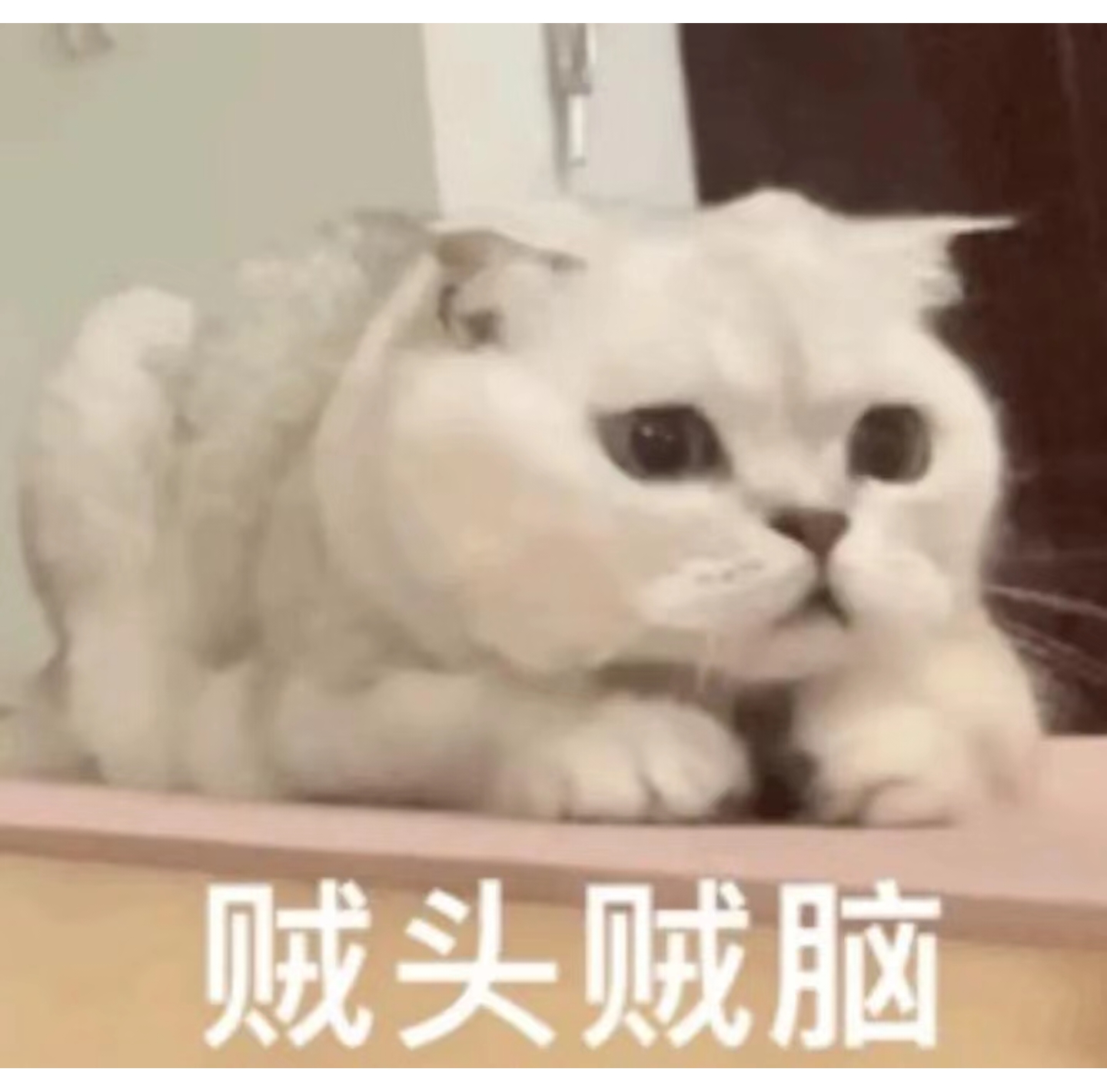 陪玩妹子ℋÿ雨陌,的照片5