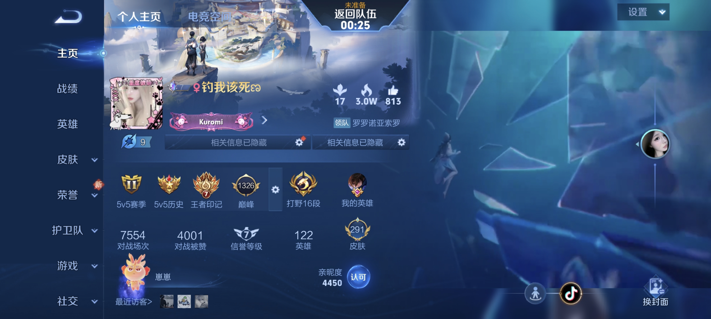 王者荣耀陪玩服务