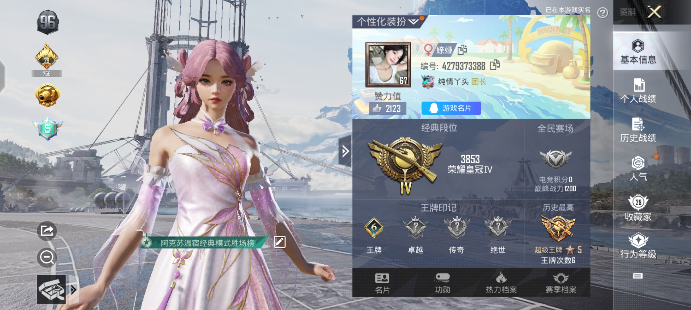 和平精英陪玩服务