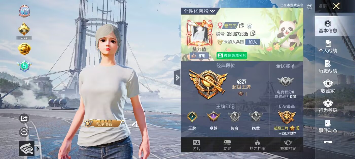 和平精英陪玩服务