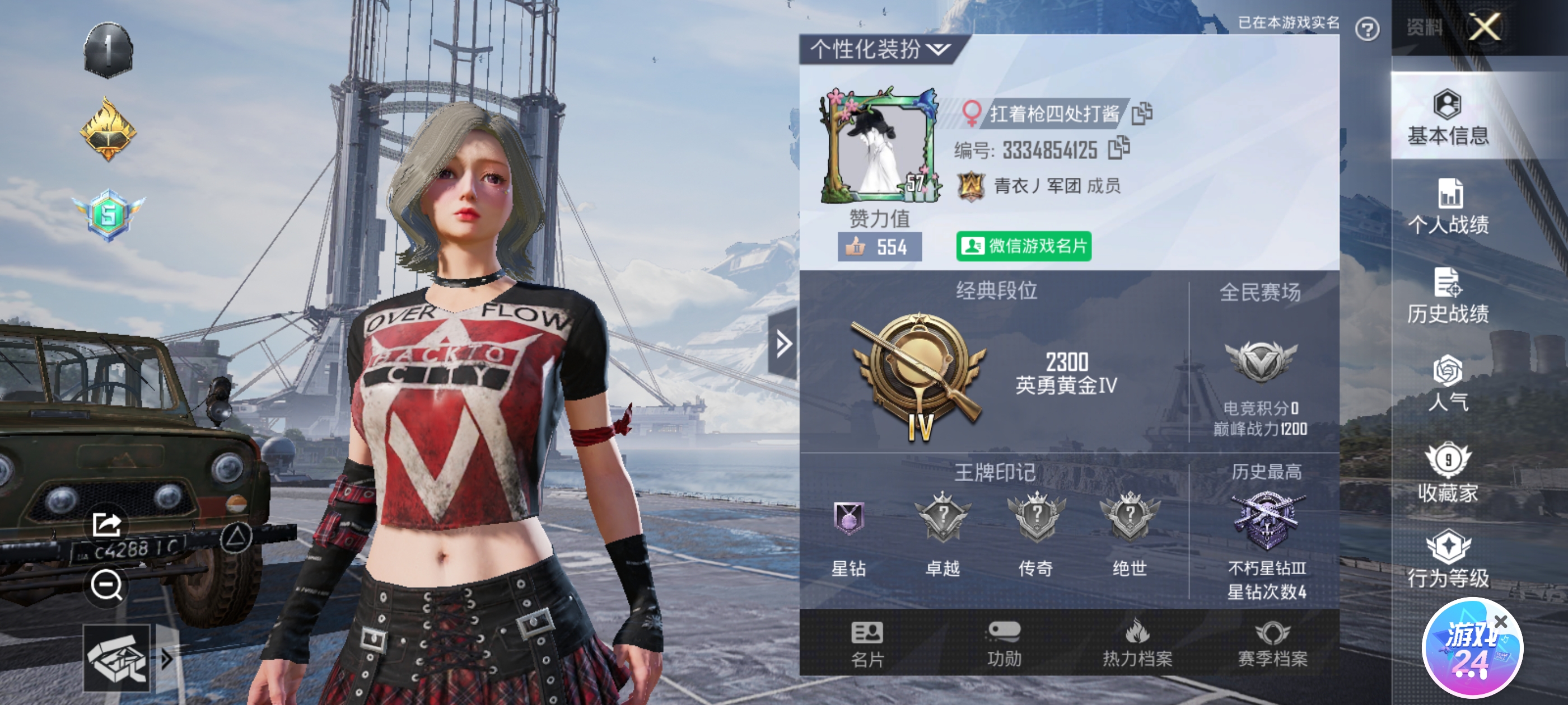 和平精英陪玩服务