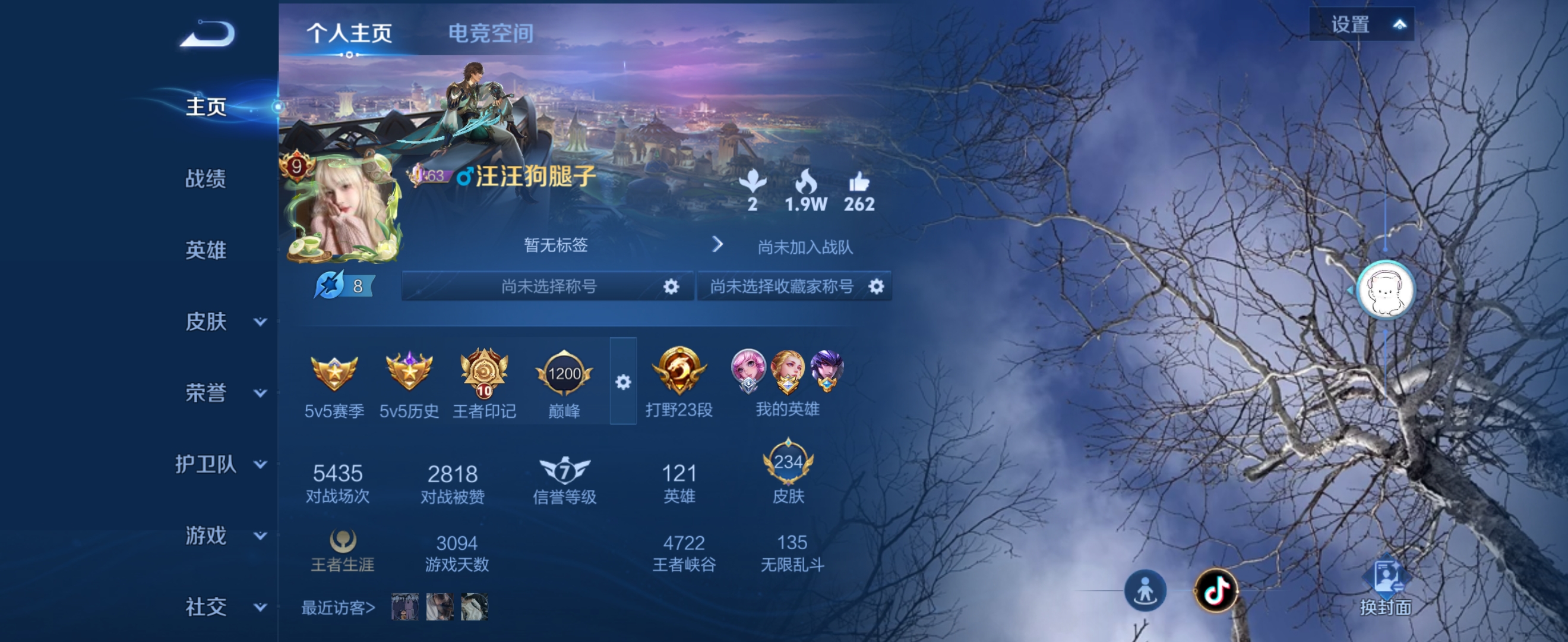 王者荣耀陪玩服务