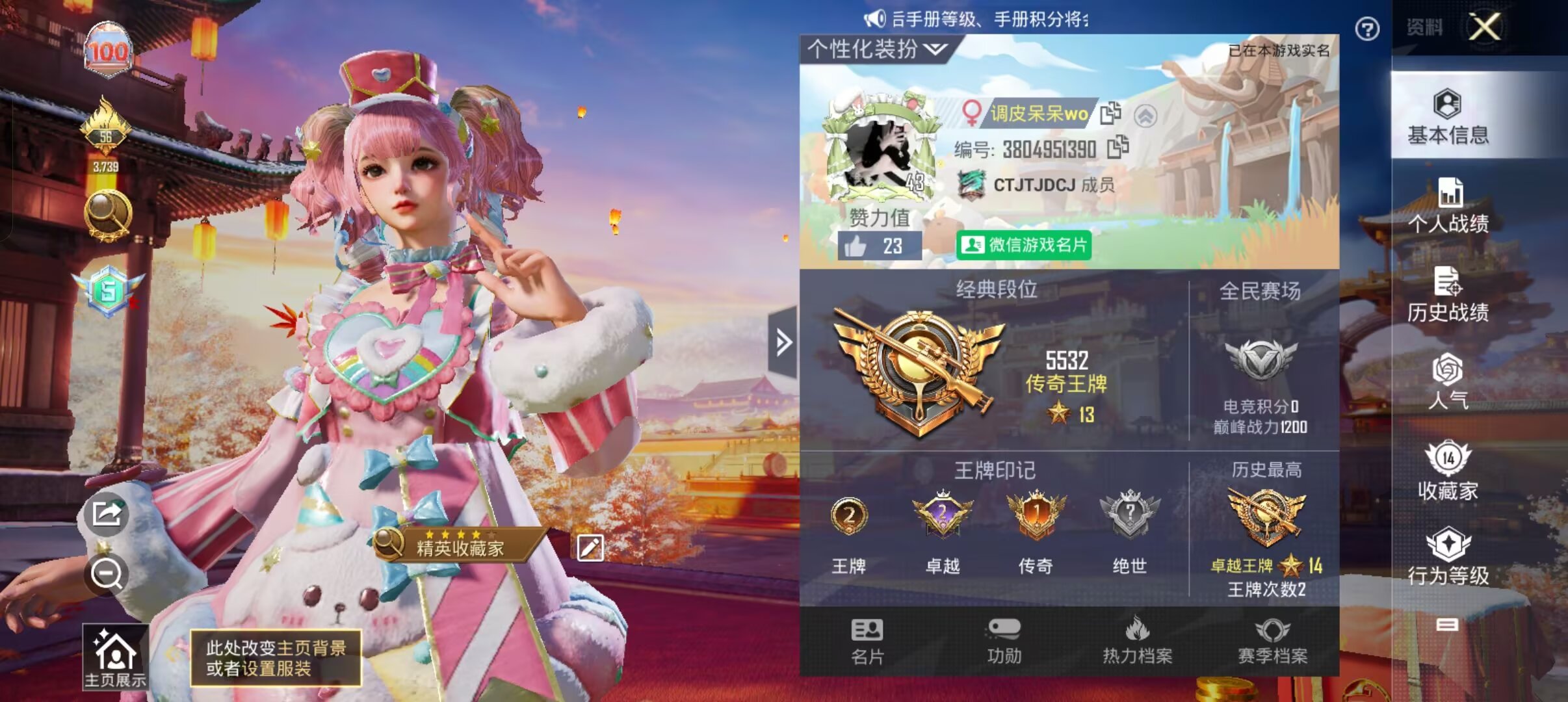 和平精英陪玩服务