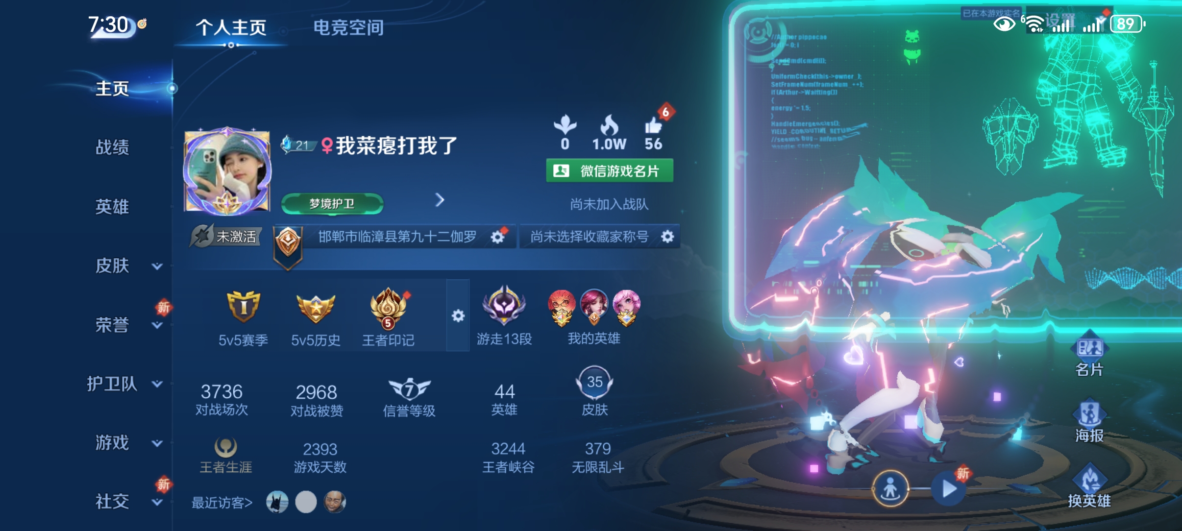 王者荣耀陪玩服务