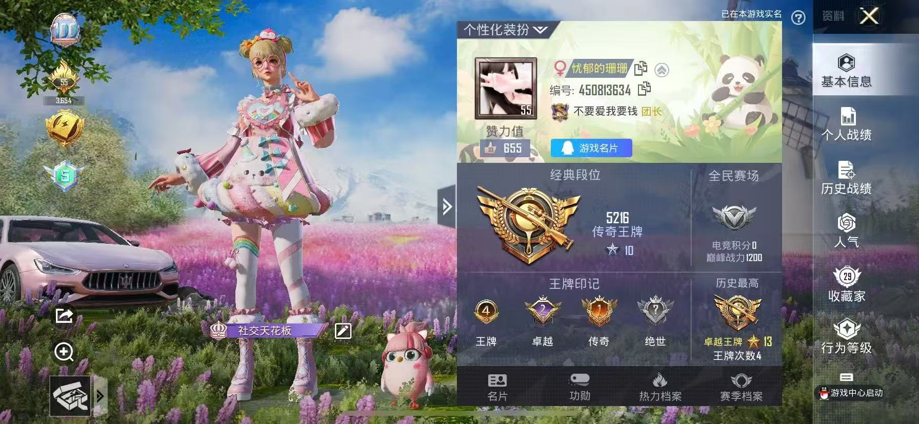 和平精英陪玩服务