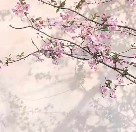 陪玩妹子黎吧啦^奈儿的照片1