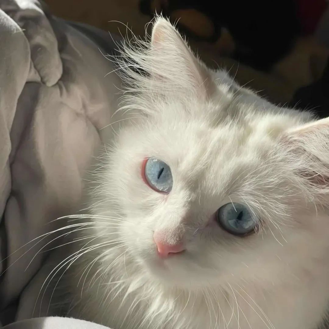 陪玩妹子月酱有点棒的照片1