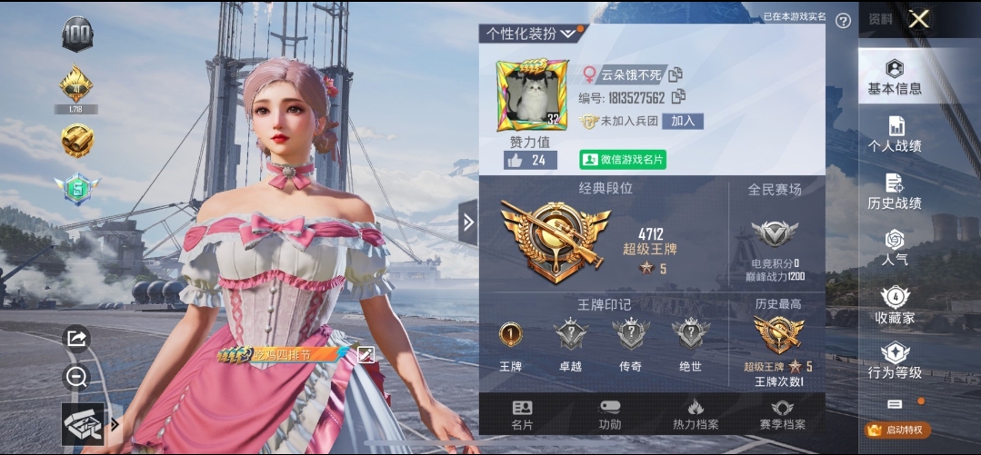和平精英陪玩服务
