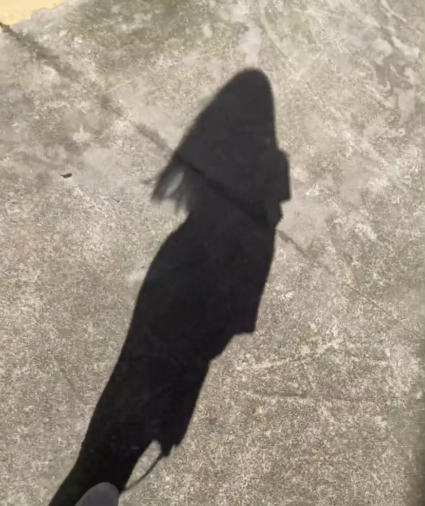 陪玩妹子明天_的照片1