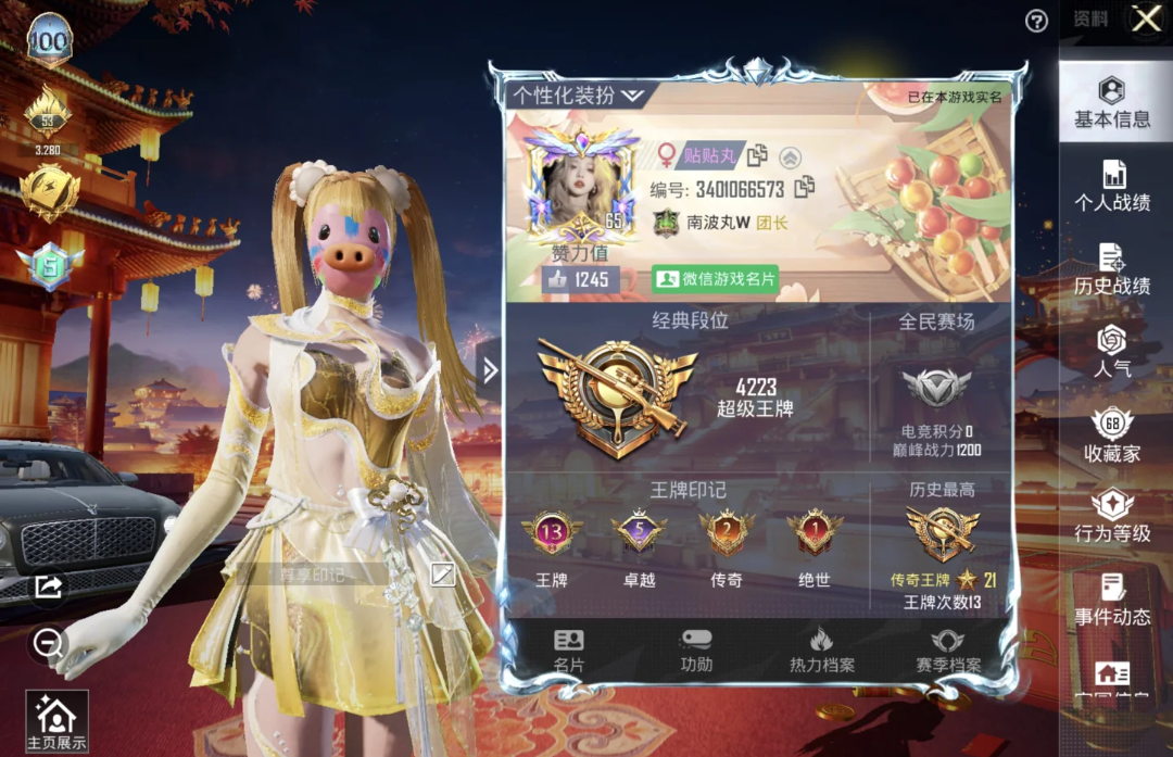 和平精英陪玩服务