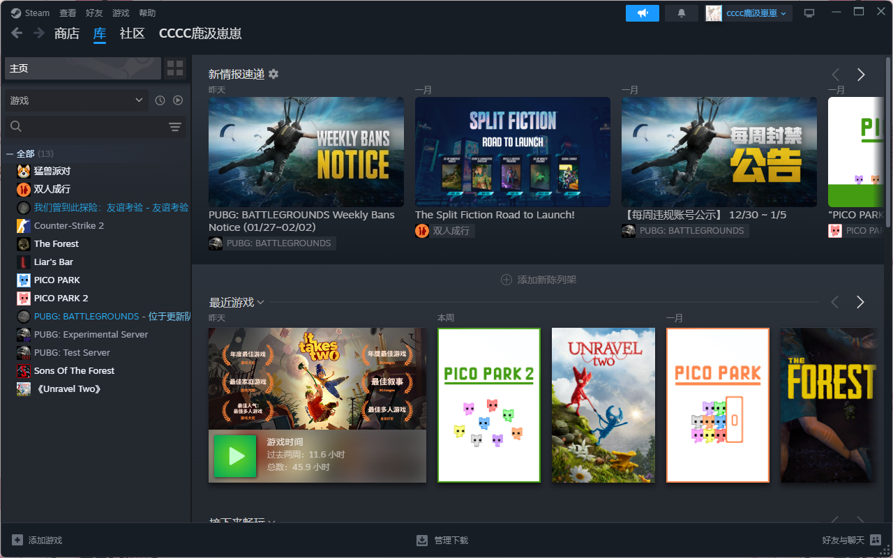 Steam专区陪玩服务