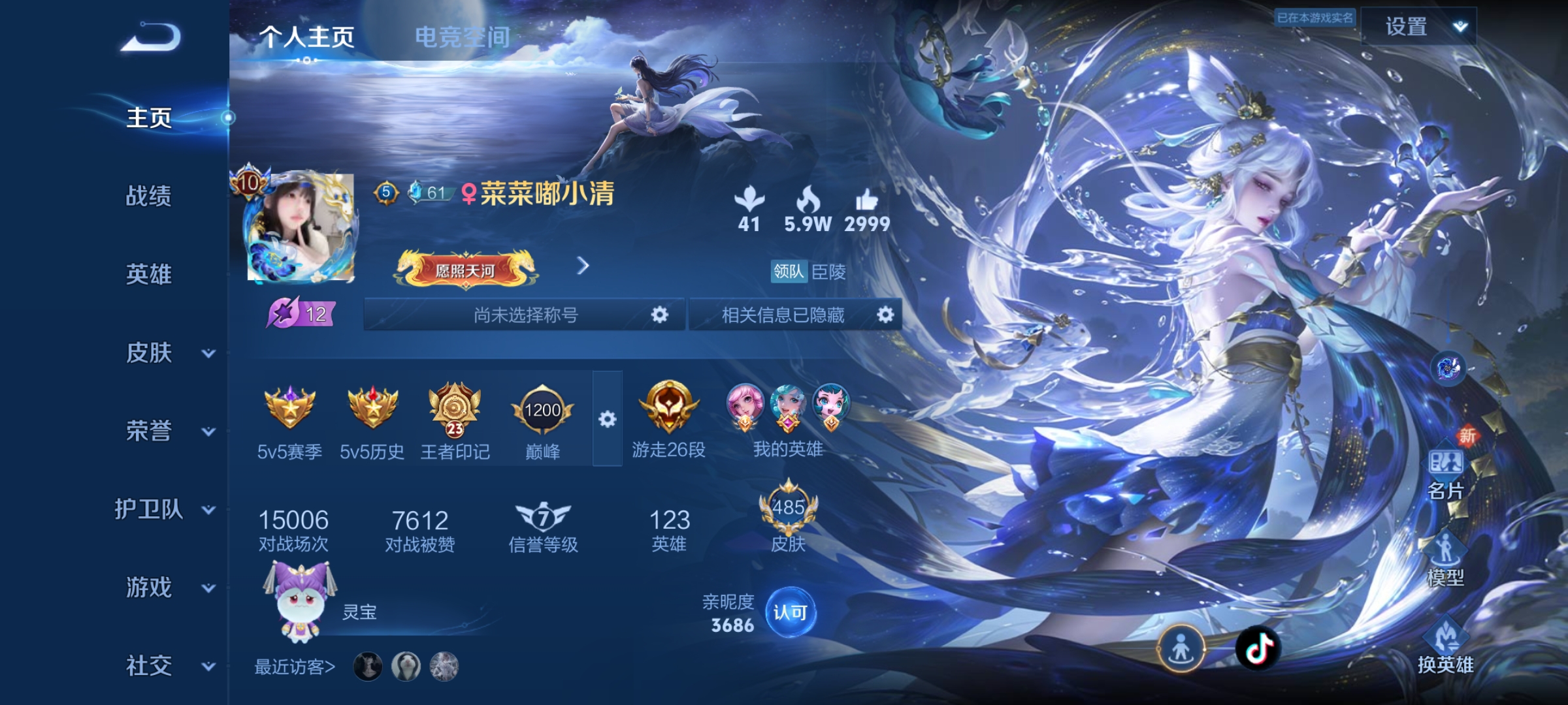 王者荣耀陪玩服务